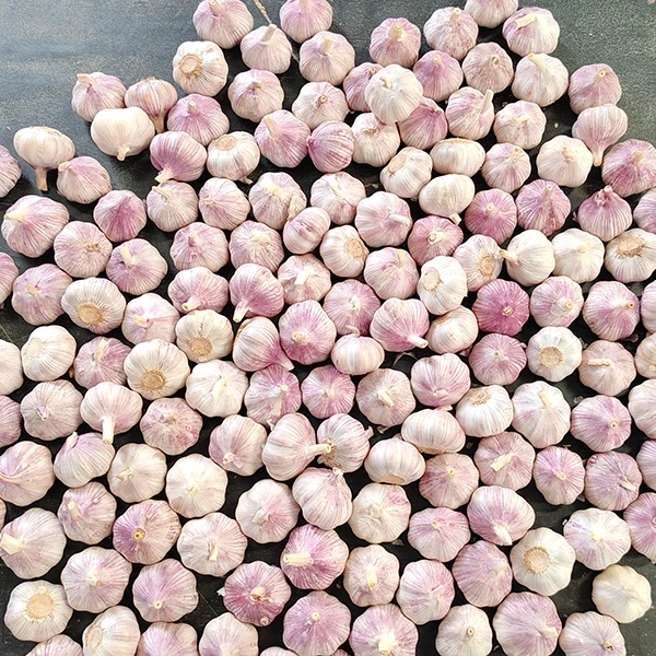 Huaang Food Processing густариши занҷираи таъминоти сирпиёзи тару тозаро эълон мекунад