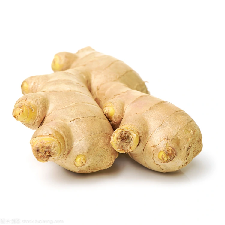Чаро Premium Fresh Ginger интихоби афзалиятнок барои харидорони бошуури сифат аст?