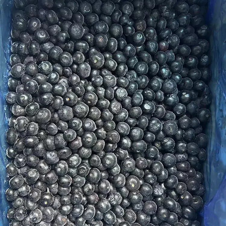 Blueberry яхкардашуда Premium IQF Blueberries